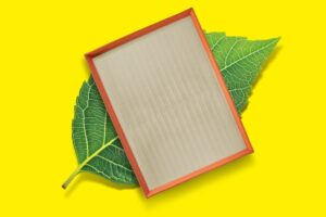 Večja izbira ekoloških filtrov MANN-FILTER